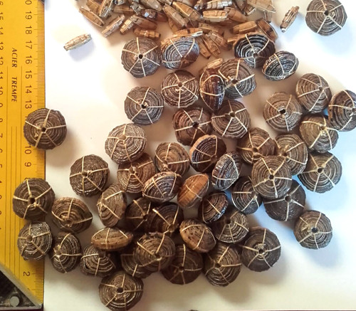 Banánové listy - disk — foto 1