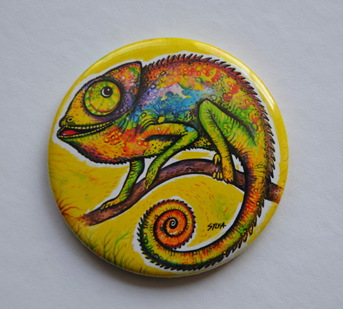 Chameleon -magnet