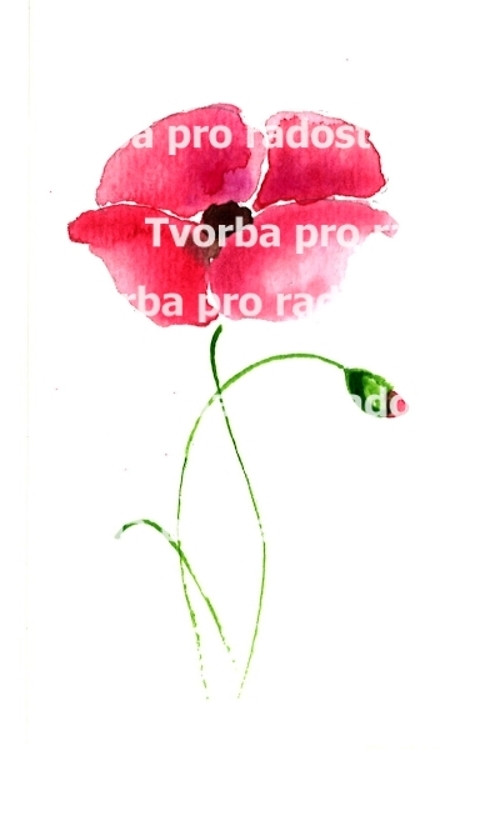 Vlčí mák