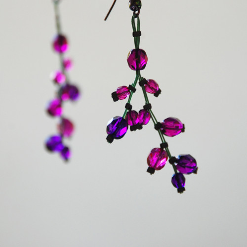 Fuchsijové pupence — foto 1