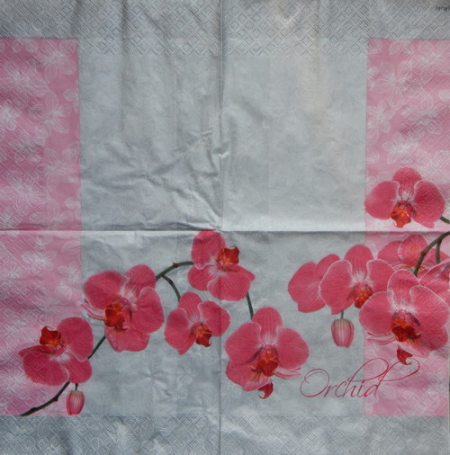 Romantická orchidej 1647