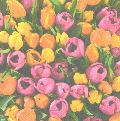 Ubrousek - žluté a růžové tulipány