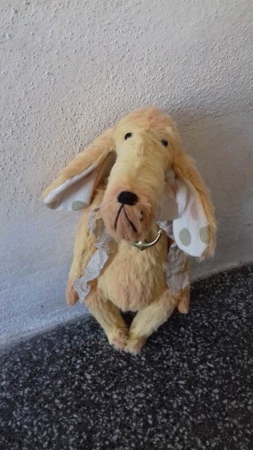 Pejsek Štaflík — foto 1