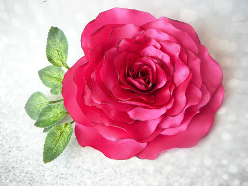 Fuchsiová růže. — foto 1