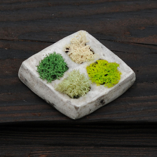 Miniatúrna RAKU záhrada — foto 1