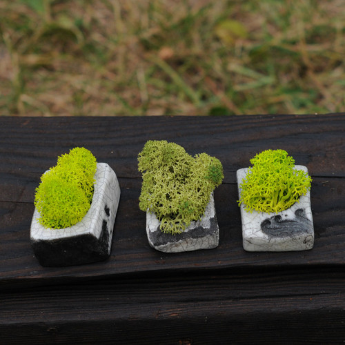 Miniatúrna RAKU záhrada — foto 1