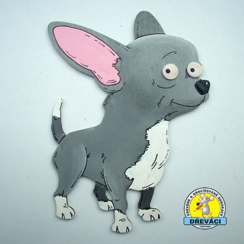 Vykulená čivava (Chihuahua)... D1792