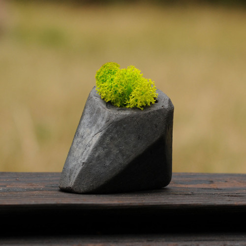 Miniatúrna RAKU záhrada — foto 1