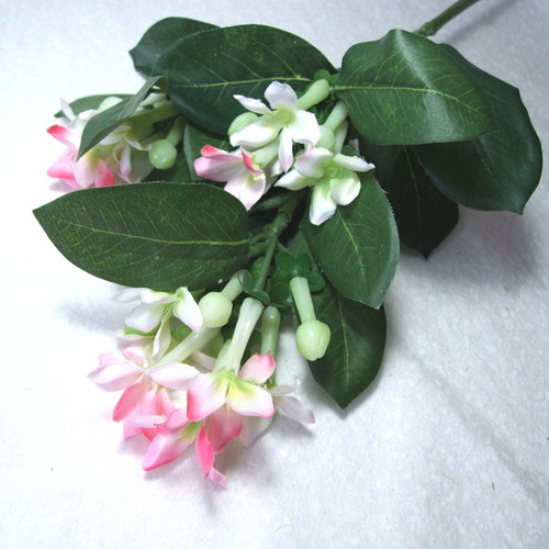 Stephanotis růžový 58 cm — foto 1