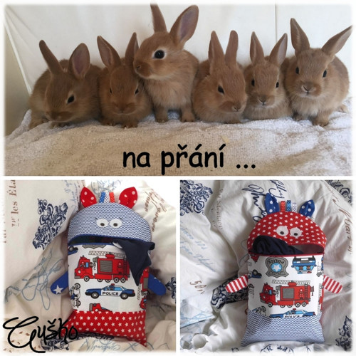 Příšerky na přání .. — foto 1