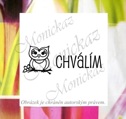 Chválím sovička 31 b). Razítko. — foto 1