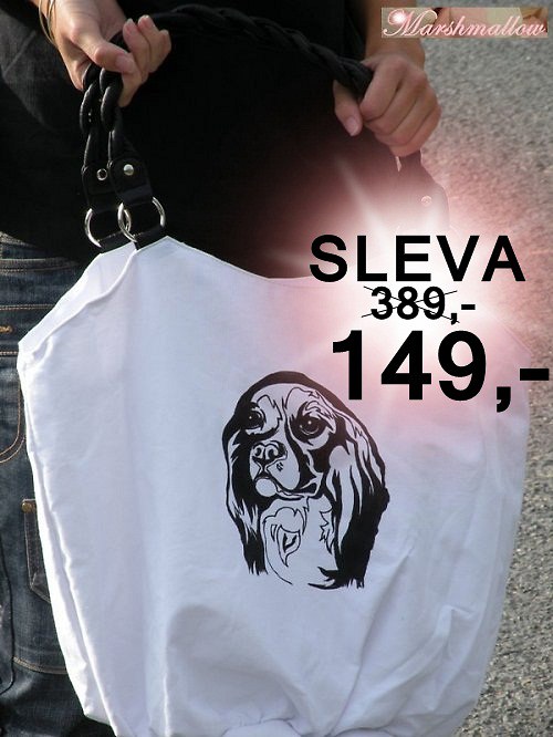 Kavalír Charles ze Španěl SLEVA — foto 1