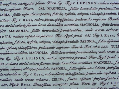 Látka Botanika modrá - text — foto 1