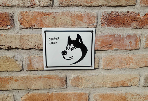 Husky — foto 1