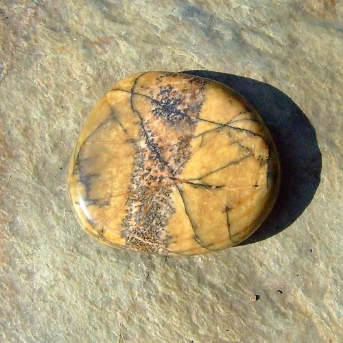 Jaspis Picasso — foto 1