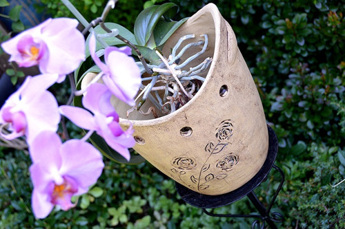 Květináč na orchideje-ihned — foto 1