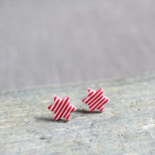 Hvězdičkové — foto 1