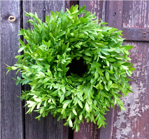 Věnec buxus - Zelenáček