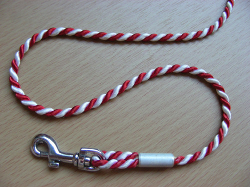 Vodítko