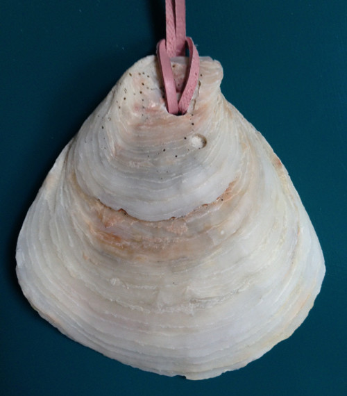 Náhrdelník - mušle III.