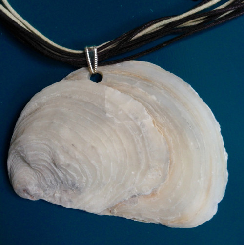 Náhrdelník - mušle IV.