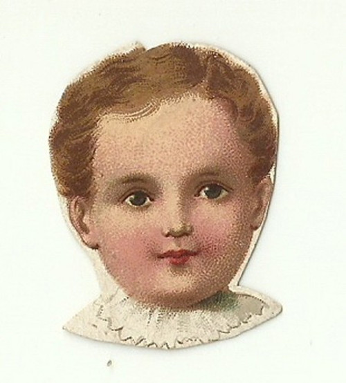 Perníkovka Hlavička panenky — foto 1