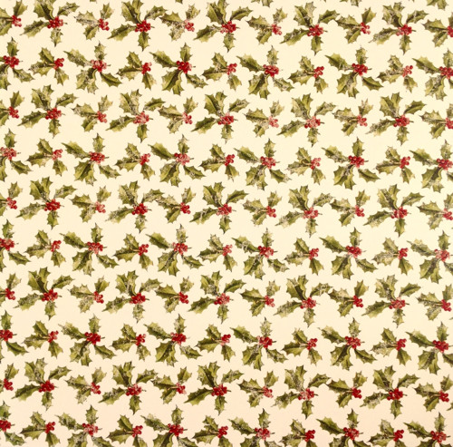 Vánoční jednostranný papír 30 x 30 cm, 170 g/m2