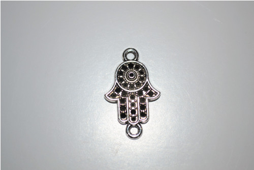 0221 hamsa