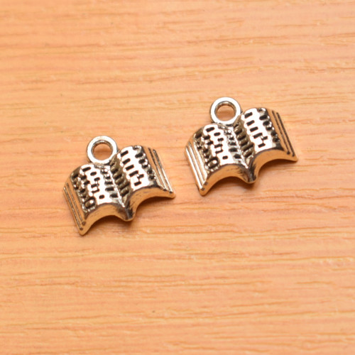 Kniha - starostříbro - 11mm x 12mm