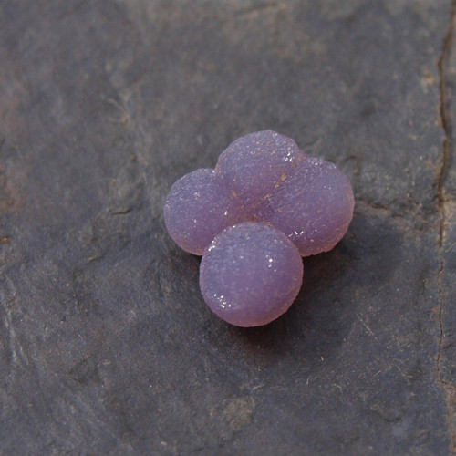 Chalcedon grape neboli hroznový č.1992 — foto 1