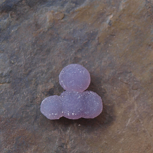 Chalcedon grape neboli hroznový č.1993 — foto 1