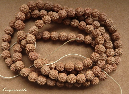 Rudraksha semeno korálky - 8mm 4kusy