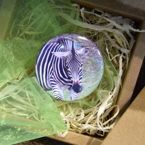 Placka na 5 způsobů - 44mm - Zebra