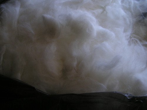 Angora — foto 1