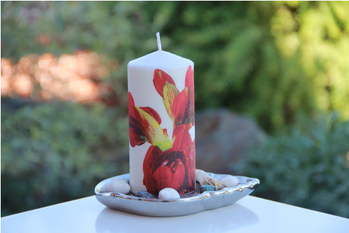 Amaryllis