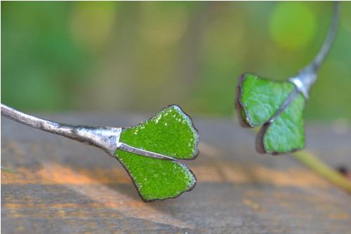 Ginko — foto 1
