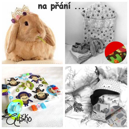 Auško plní přání :) — foto 1