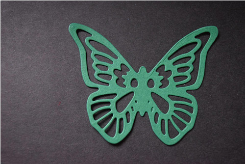 Motýl — foto 1