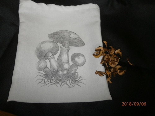 LNĚNÝ SÁČEK NA HOUBIČKY:-)