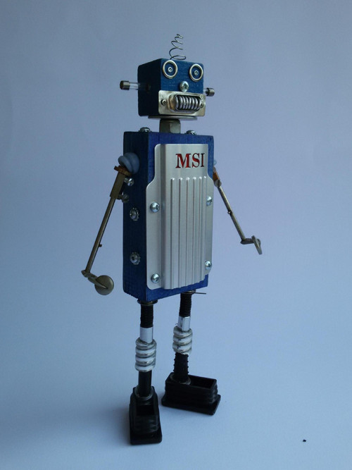 Robotek MS1 — foto 1