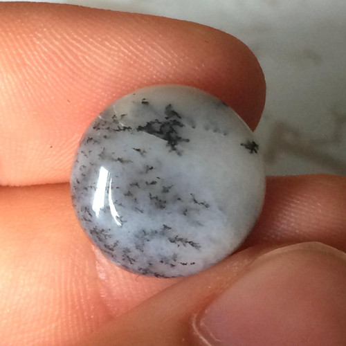 Dendritický opál kabošon kruh (DO029, 13x3mm)