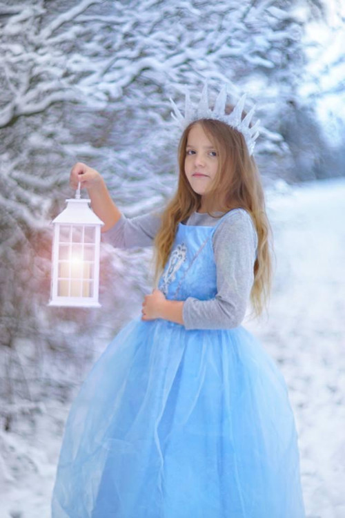 Ledová koruna