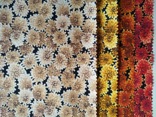 Sada Autumn Romance 230204