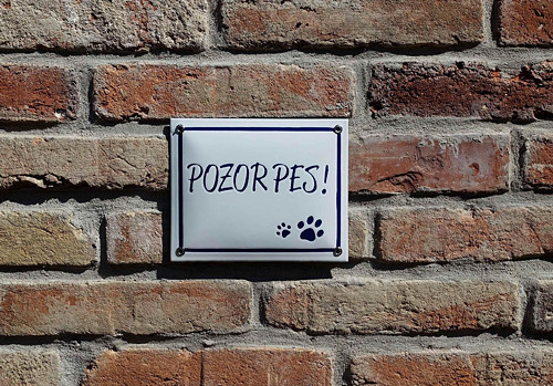 POZOR PES (bílé pozadí, modrý nápis)