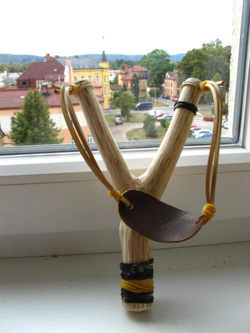Habrový prak — foto 1