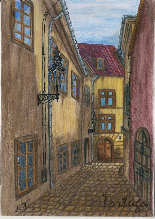 Řásnovka — foto 1