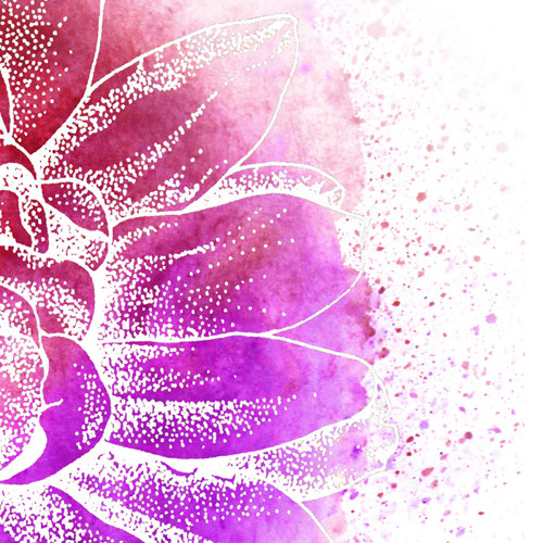 Lotos růžová - autorská reprodukce (3velikosti)