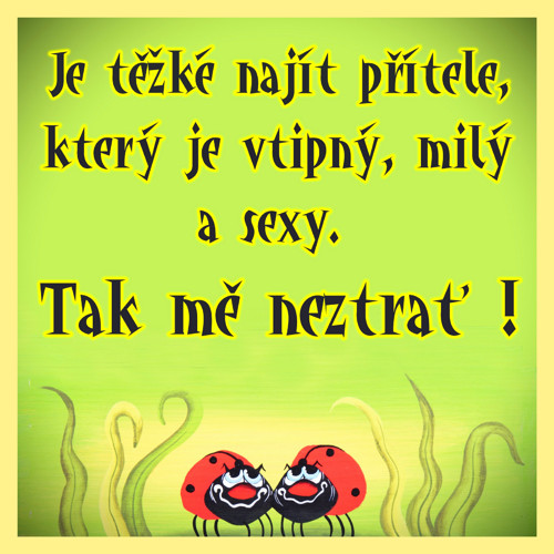 Je těžké najít přítele.... magnetka- berušky