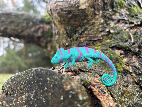 Chameleon jade/magenta