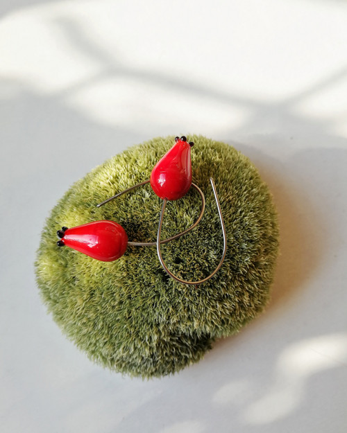 Šípky — foto 1